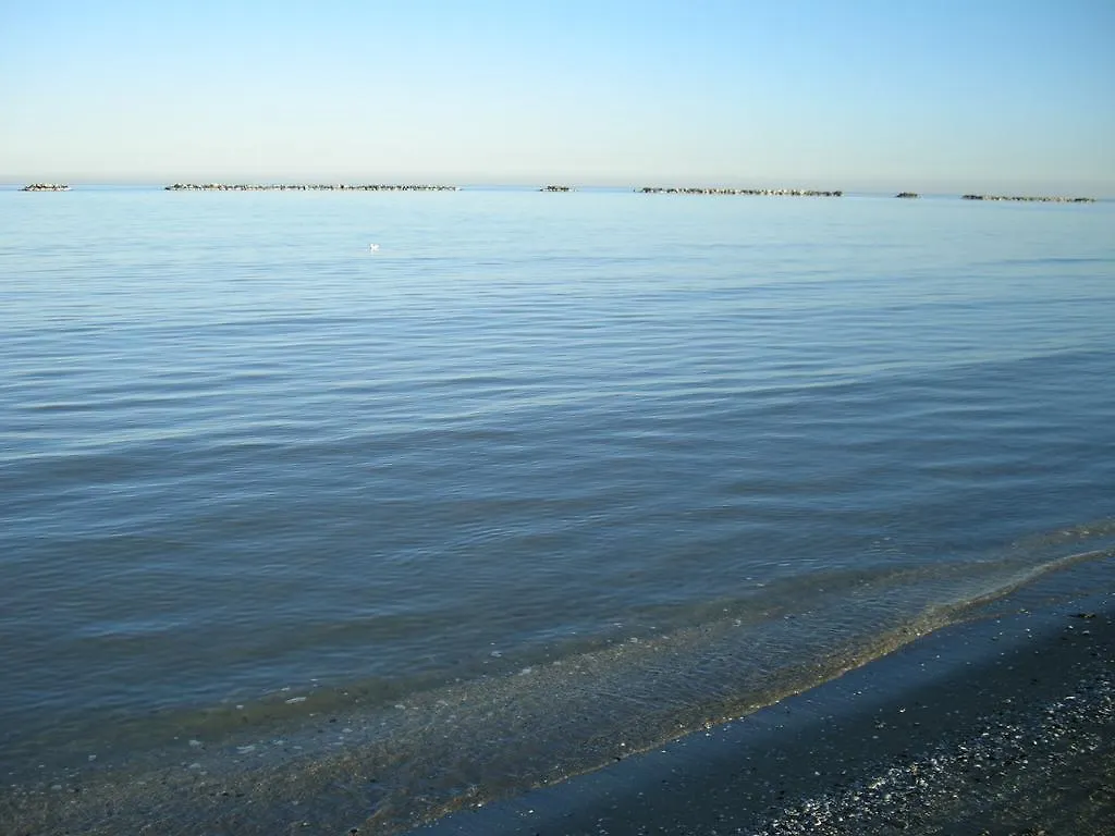 Hotel Metron Cesenatico 3*,